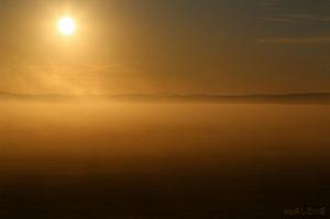 サロベツ原野の朝霧
