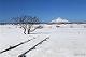 利尻と残雪のサロベツ原野