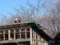 �g�^���ł�