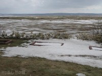 ４月６日雪融けのサロベツ原野