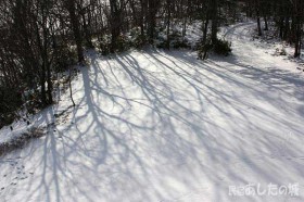 雪面に映る影