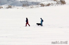 雪原を歩く二人と一匹
