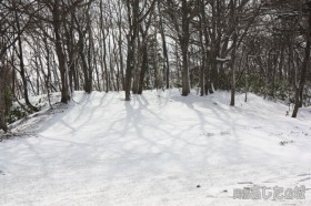 雪面に映った木の陰