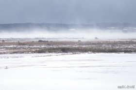 原野の地吹雪
