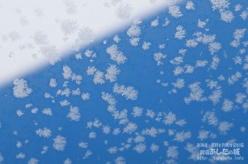 霜の華と屋根の影